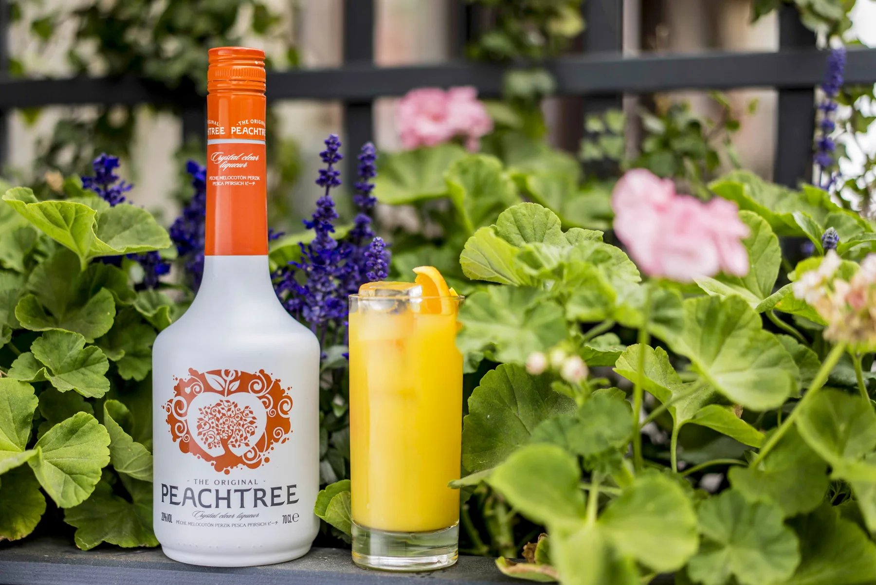 Orange beverage photographed outdoors with fresh ingredients