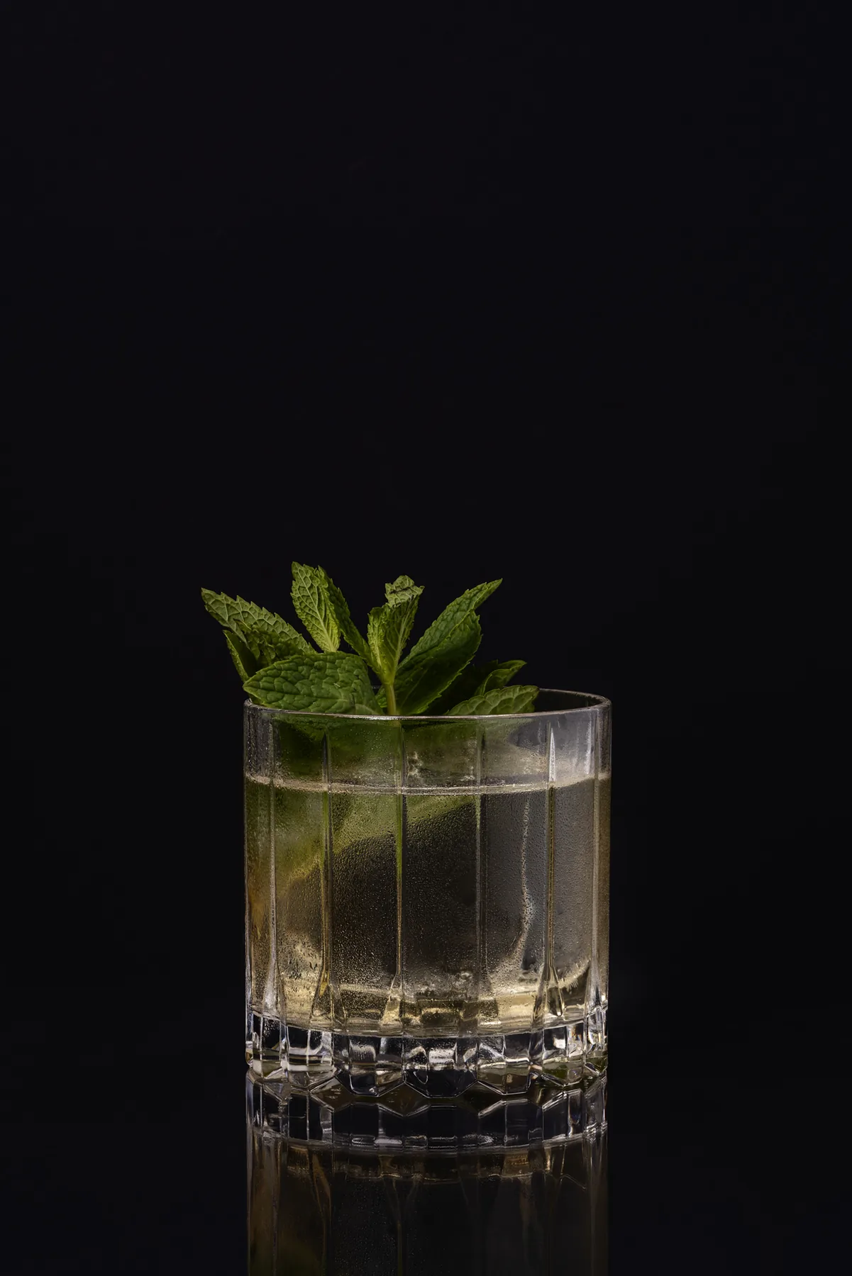 Dark botanical cocktail still life photographed in Vancouver